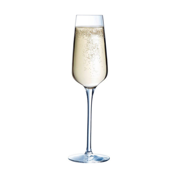 Pohár šampanského Chef & Sommelier 6 kusov Transparentná Sklo (21 cl)